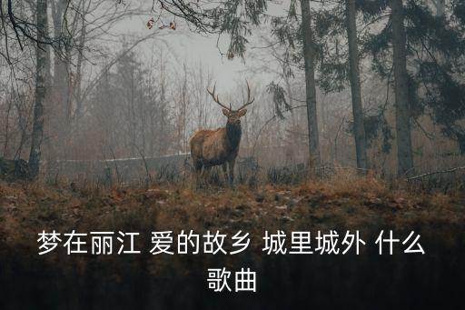 梦在丽江 爱的故乡 城里城外 什么歌曲