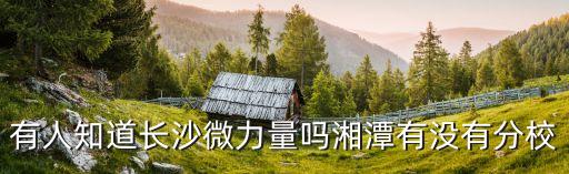 有人知道长沙微力量吗湘潭有没有分校
