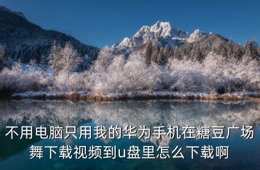 不用电脑只用我的华为手机在糖豆广场舞下载视频到u盘里怎么下载啊