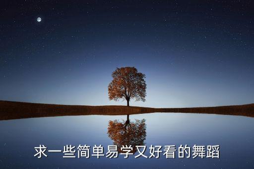 求一些简单易学又好看的舞蹈