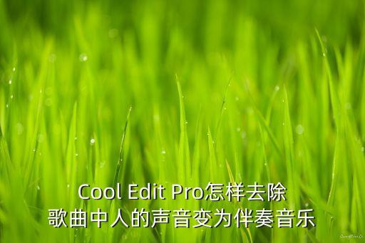 Cool Edit Pro怎样去除歌曲中人的声音变为伴奏音乐