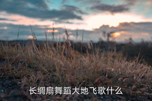 长绸扇舞蹈大地飞歌什么