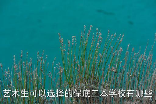 艺术生可以选择的保底二本学校有哪些