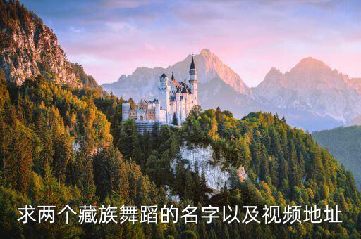 有什么好看的藏族舞蹈视频下载，我急需藏族舞蹈的视屏