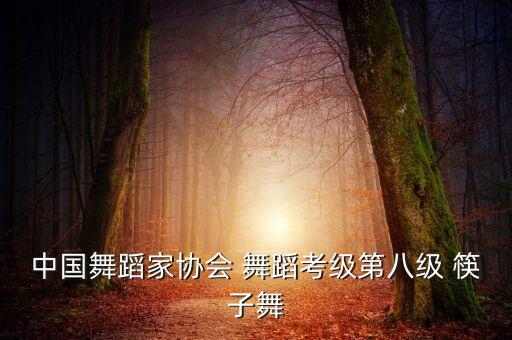 中国舞蹈家协会 舞蹈考级第八级 筷子舞