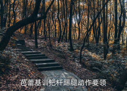 芭蕾基训把杆踢腿动作要领