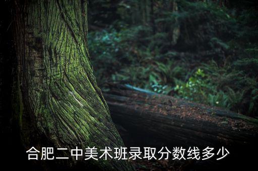 合肥二中美术班录取分数线多少