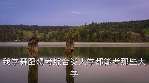我学舞蹈想考综合类大学都能考那些大学