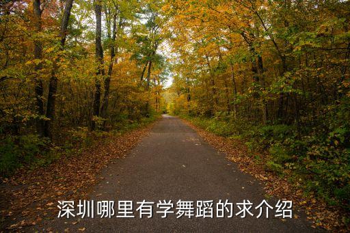 深圳哪里有学舞蹈的求介绍