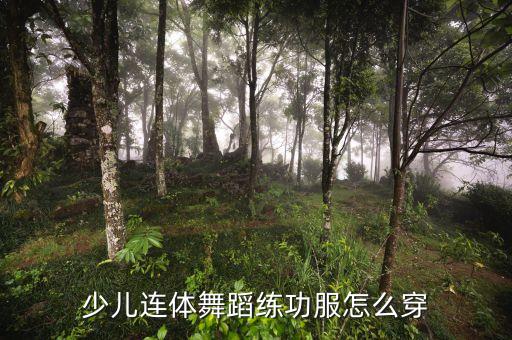 少儿连体舞蹈练功服怎么穿