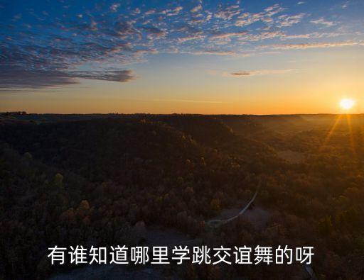学跳交谊舞哪个网站，有谁知道哪里学跳交谊舞的呀