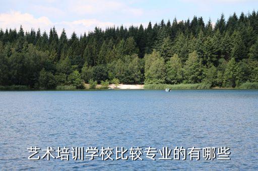 艺术培训学校比较专业的有哪些