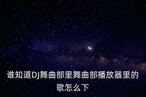 风雨季DJ怎么下载，谁知道DJ舞曲部里舞曲部播放器里的歌怎么下
