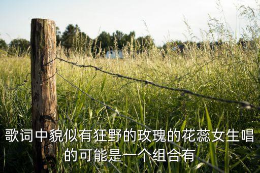 歌词中貌似有狂野的玫瑰的花蕊女生唱的可能是一个组合有
