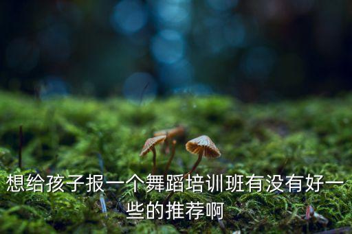 有什么好的儿童舞，想给孩子报一个舞蹈培训班有没有好一些的推荐啊