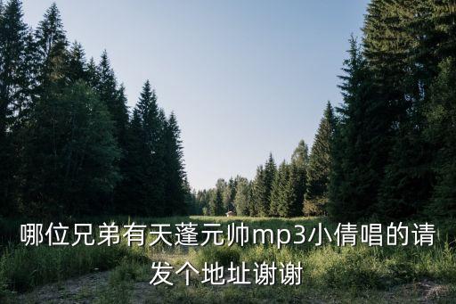 哪位兄弟有天蓬元帅mp3小倩唱的请发个地址谢谢