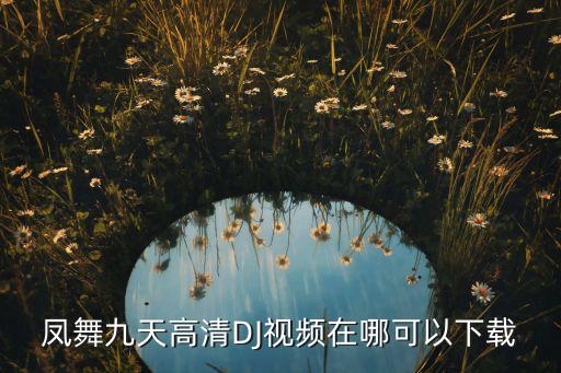 高清dj素材视频，EE推荐史上巨牛极品混音法国DJ大师Madeon现场混音风靡 求这个