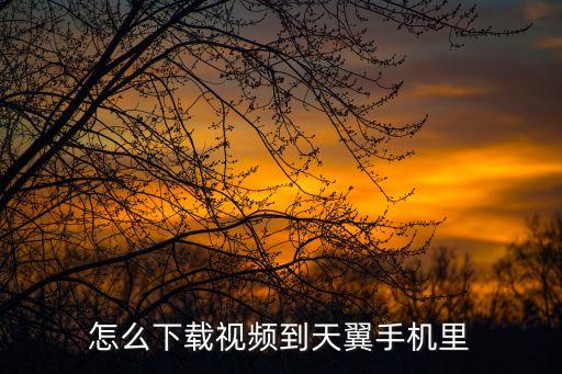 怎么下载视频到天翼手机里