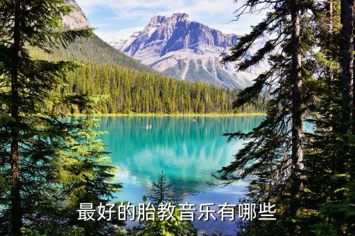 早教音乐100首必听的经典名曲，胎教音乐100首必听是什么
