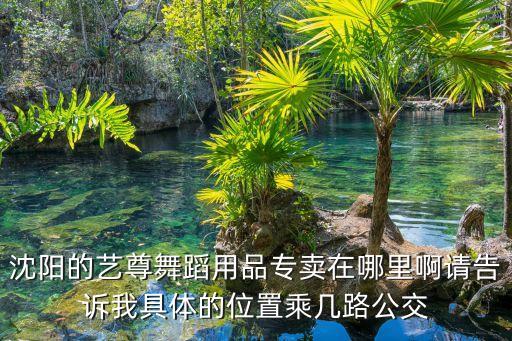 沈阳的艺尊舞蹈用品专卖在哪里啊请告诉我具体的位置乘几路公交