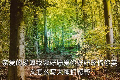 亲爱的杨总英语怎么写，亲爱的杨嚒我会好好爱你好好珍惜你英文怎么写大神们帮帮