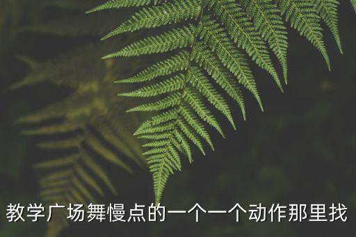 教学广场舞慢点的一个一个动作那里找