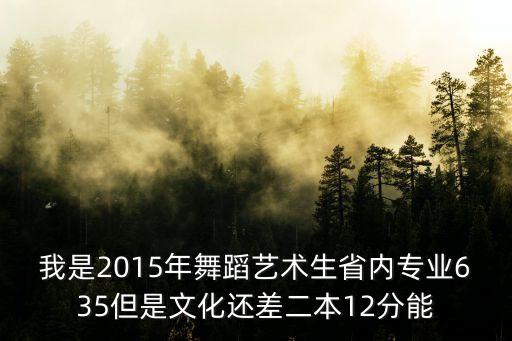 舞蹈艺术生保底二本大学，我是2015年舞蹈艺术生省内专业635但是文化还差二本12分能