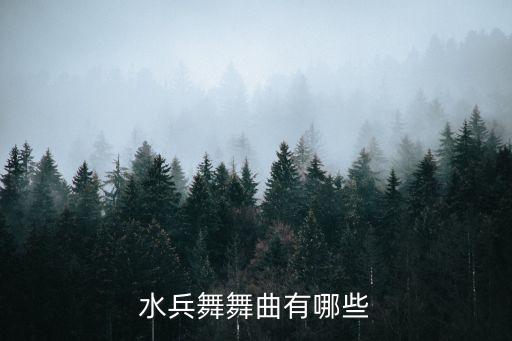 双人水兵舞第九套是什么歌曲，水兵舞舞曲的歌名