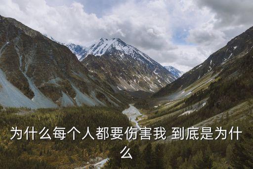 为什么每个人都要伤害我 到底是为什么