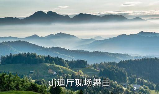 dj蹦迪现场视频，dj迪厅现场舞曲