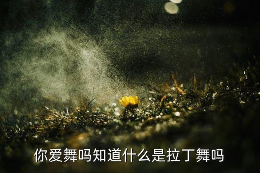你爱舞吗知道什么是拉丁舞吗