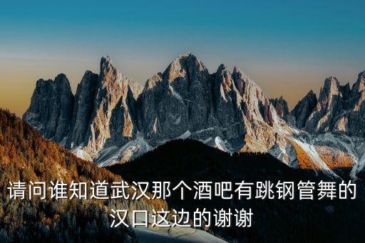 请问谁知道武汉那个酒吧有跳钢管舞的汉口这边的谢谢