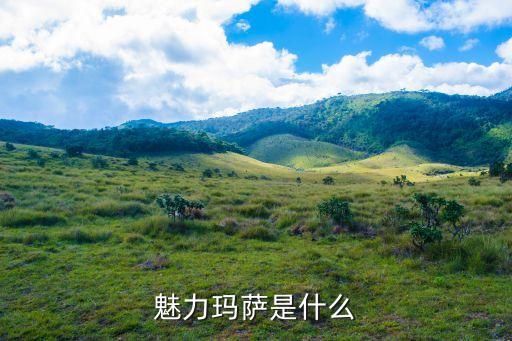 魅力玛萨是什么