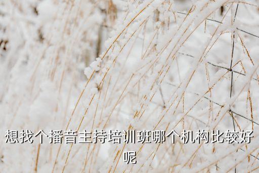 想找个播音主持培训班哪个机构比较好呢