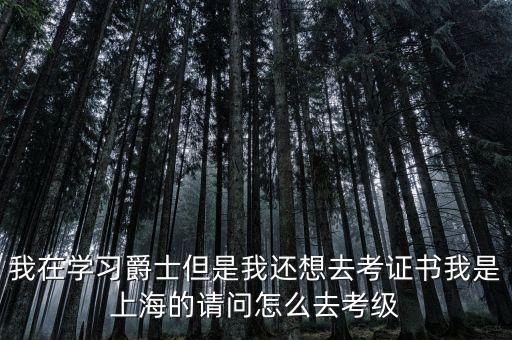 我在学习爵士但是我还想去考证书我是上海的请问怎么去考级