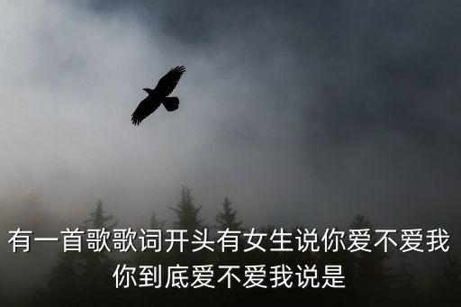 有一首歌歌词开头有女生说你爱不爱我你到底爱不爱我说是
