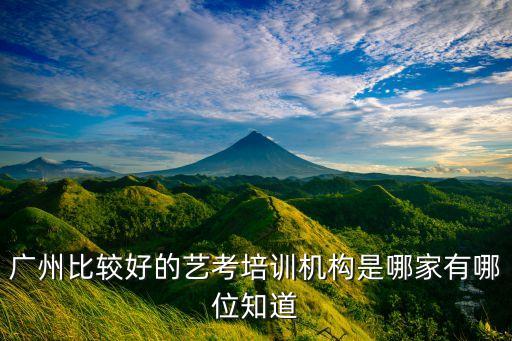 广州乐舞艺考培训机构，广州有没有比较好的艺术高考培训机构啊谢谢啦