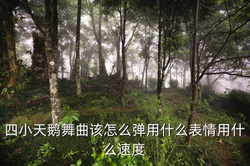 四小天鹅舞曲该怎么弹用什么表情用什么速度