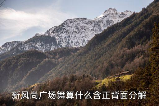 新风尚广场舞算什么含正背面分解