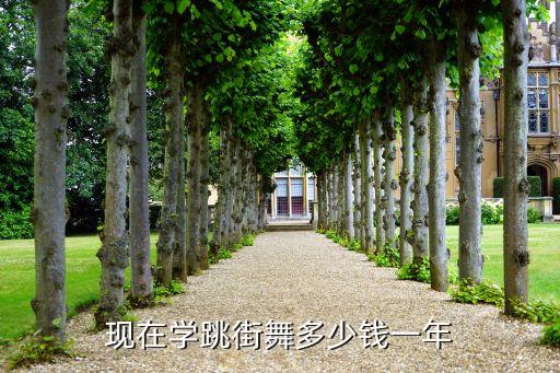 报个舞蹈班一年费用最低多少，现在学跳街舞多少钱一年