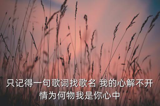 只记得一句歌词找歌名 我的心解不开情为何物我是你心中