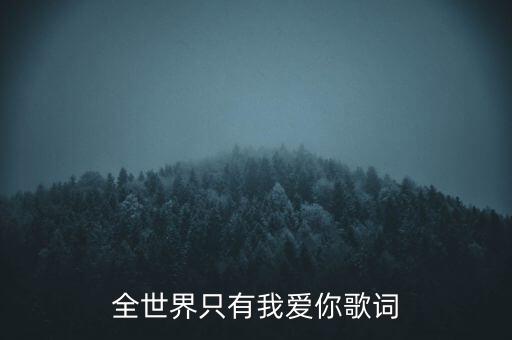 全世界只有我爱你歌词