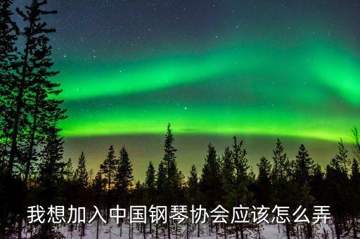 我想加入中国钢琴协会应该怎么弄