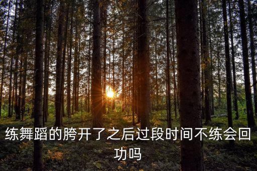 舞蹈开功如何回功，舞团开任务团员能回贡些什么呢回多少呢