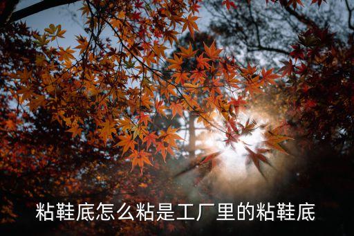 粘鞋底怎么粘是工厂里的粘鞋底