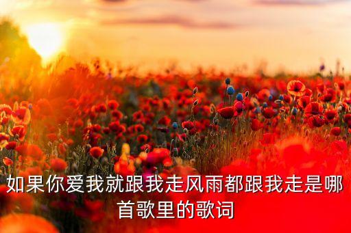 如果你爱我就跟我走是什么歌，如果你爱我就跟我走吧还记得你曾经说过的话出自哪首歌