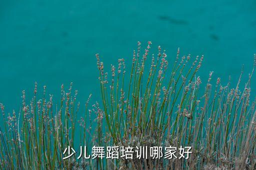 儿童舞蹈哪里学好，少儿舞蹈培训哪家好