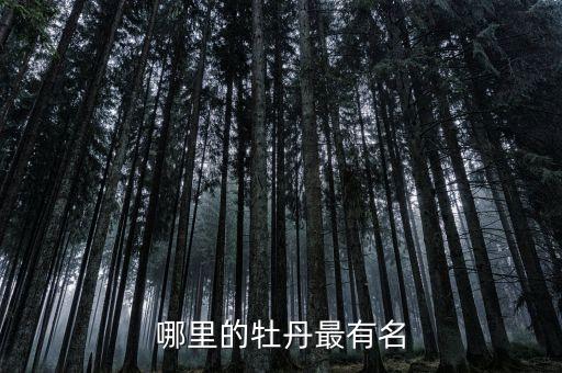 哪里的牡丹最有名
