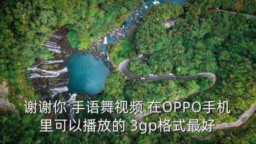 我要谢谢你的舞蹈视频，谢谢你 手语舞视频 在OPPO手机里可以播放的 3gp格式最好