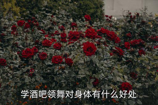 学酒吧领舞对身体有什么好处
